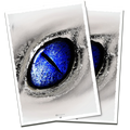 Micas con el ojo del Blue Eyes White Dragon